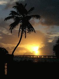 July Sunset from inside the park.